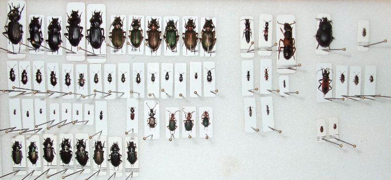 car part list 005.jpg