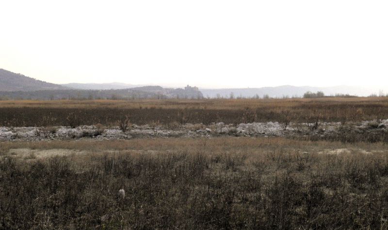 Lisert 25 - III - 2012 002.jpg