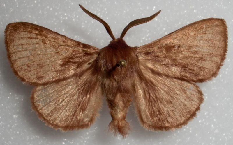 CIMG9856 - Copia - Copia.JPG