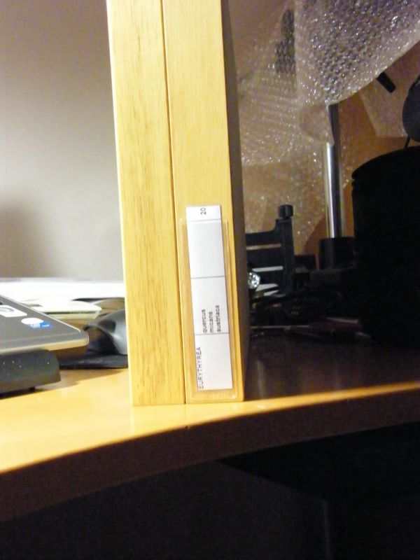 DSCF2443.JPG