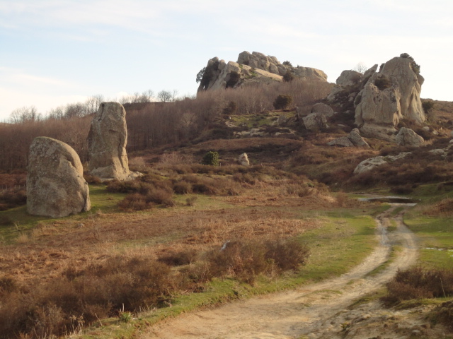 DSC00858.JPG