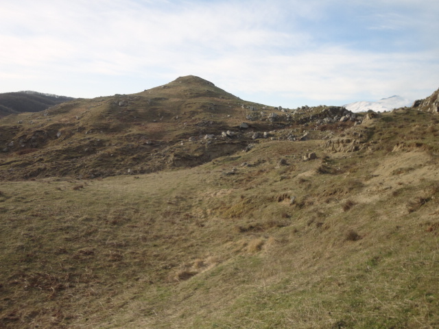DSC00860.JPG