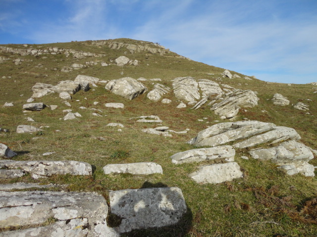 DSC00862.JPG
