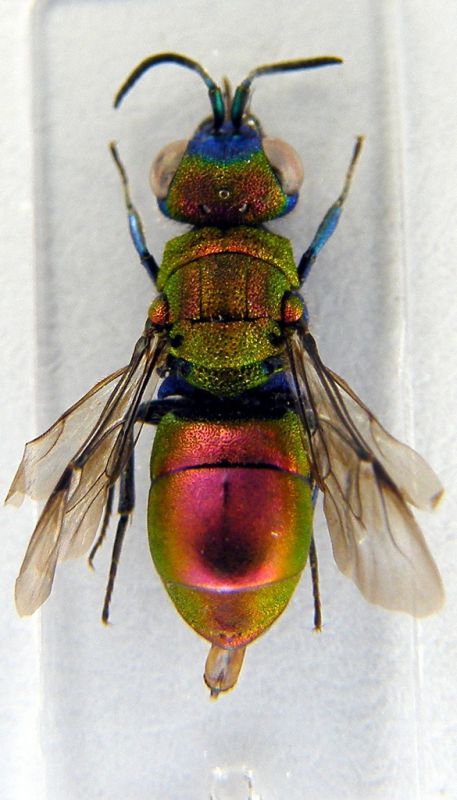 DSCF2565.JPG