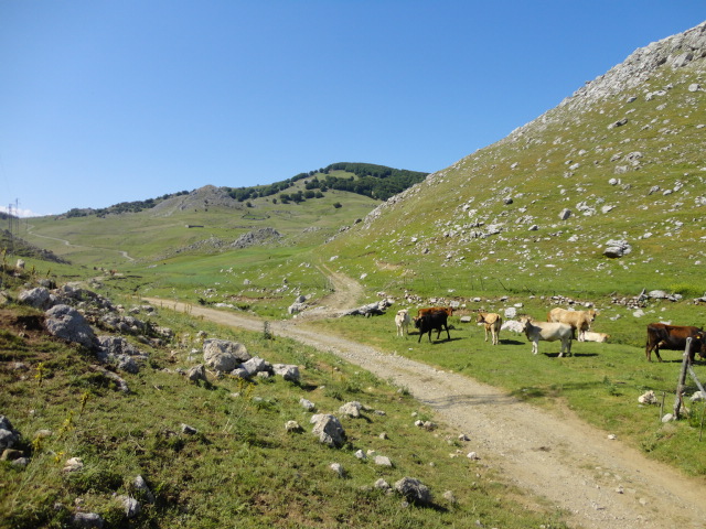 DSC01279.JPG