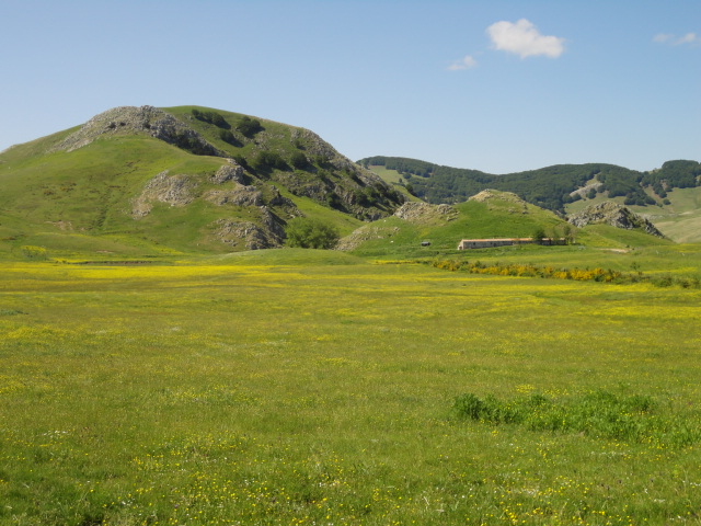 DSC01283.JPG