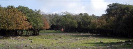 DSCN0748.JPG