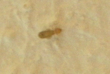 Schermata 06-2456104 alle 22.51.46.png