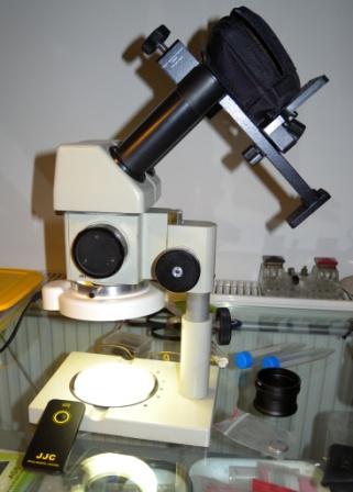 DSCN1094.JPG
