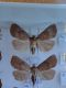 DSC01879.JPG