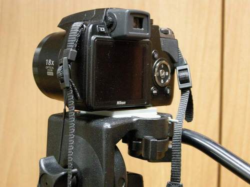 03-Dorso della P80.jpg