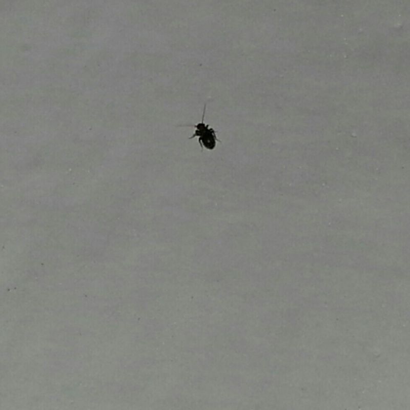 animal house 164.jpg