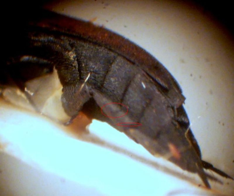 P1010244.JPG