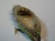 DSC03406.JPG