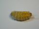 DSC03389.JPG