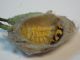 DSC03368.JPG