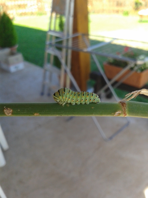 20130923_141758.jpg