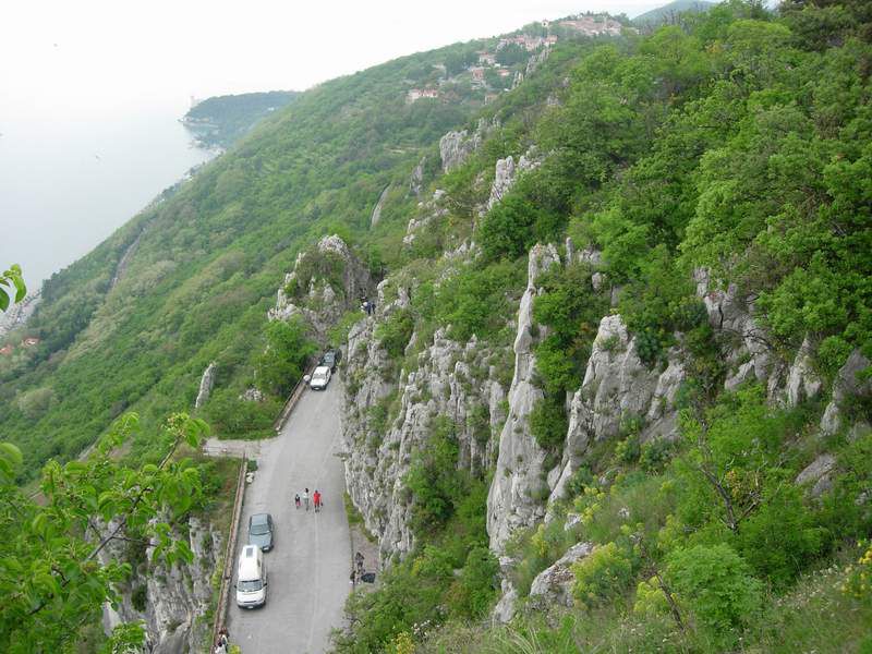 Scogliera di Prosecco, in alto al centro il paese di Prosecco, sullo sfondo a sx il castello di Miramare.jpg