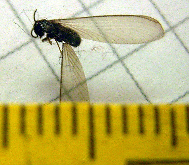 R0013224 (2).JPG