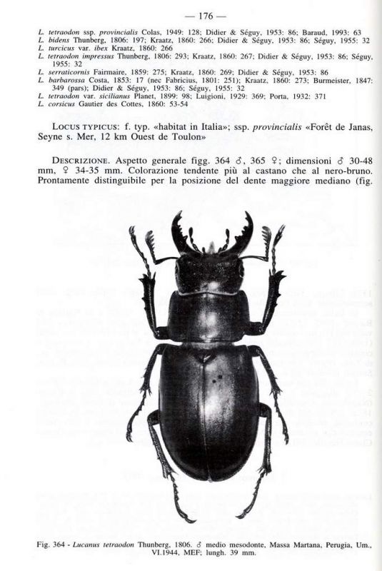 Franciscolo pag. 176.JPG