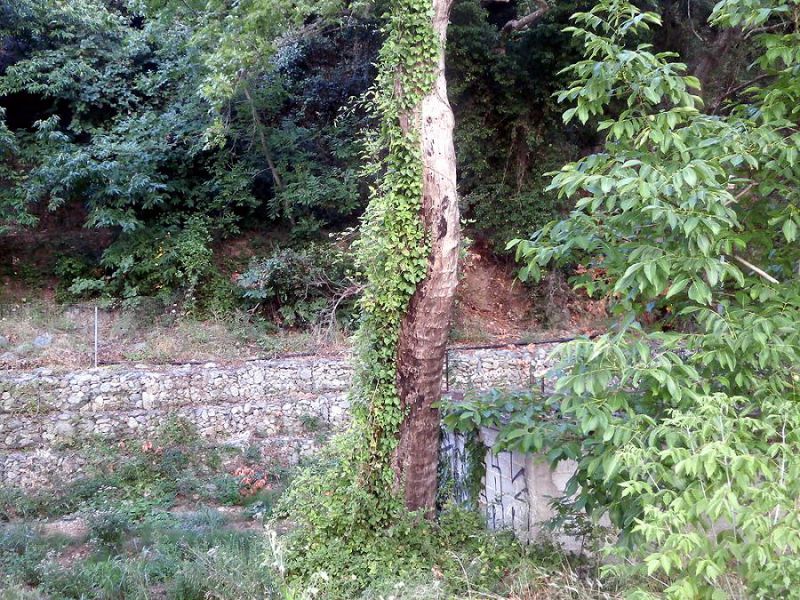 Grecja_Prinobius_01.JPG