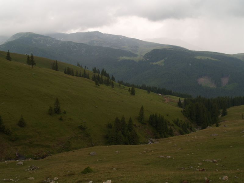 M.ti Lotrului.JPG