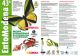43-ENTOMODENA-april-2015.jpg