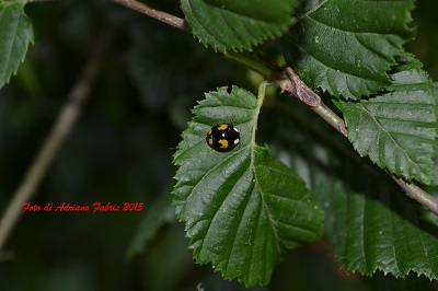 DSC_0004.JPG
