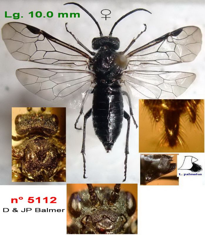 n° 5112 F - Flickr + Forum - Image.jpg