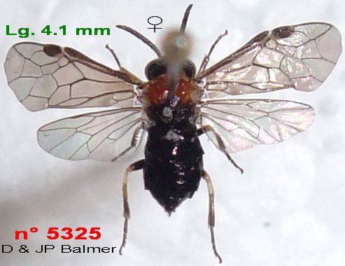 2015-08-31 13-19-42 - DSCF9229 - n° 5325 F.jpg