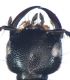 globulifer (Fourcroy, 1785).jpg