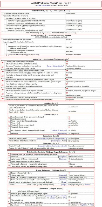 AMBLYPYGI - Part 1 - TOTALITé - Key of F.jpg