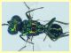 prob. Pediobius sp. 30.3.2026 - (84).JPG