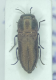 image_76D284EA-E789-4F68-899C-7151B50E6C99_1779656602.png