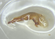 image_77C2136D-2F88-4107-8B86-CCEF27AAD884_1779657330.png