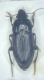 image_11A05778-86D6-40FF-ABF2-6FAE4D96044B_1779657429.png