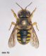 DSC05958.JPG