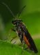 DSCF7619.jpg