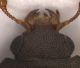 Experiment-5585-Extended Depth of Focus-06.jpg