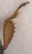 Experiment-5584-Extended Depth of Focus-05.jpg