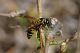 DSC_3904-2.jpg