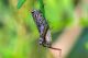 DSC_3111-2.jpg