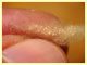 Araniella cucurbitina cocoon (22).JPG
