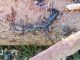 Monochamus_ValLesina_2026.jpg