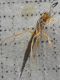 P1110220-Ridim.JPG