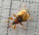 P1110557-Ridim.JPG