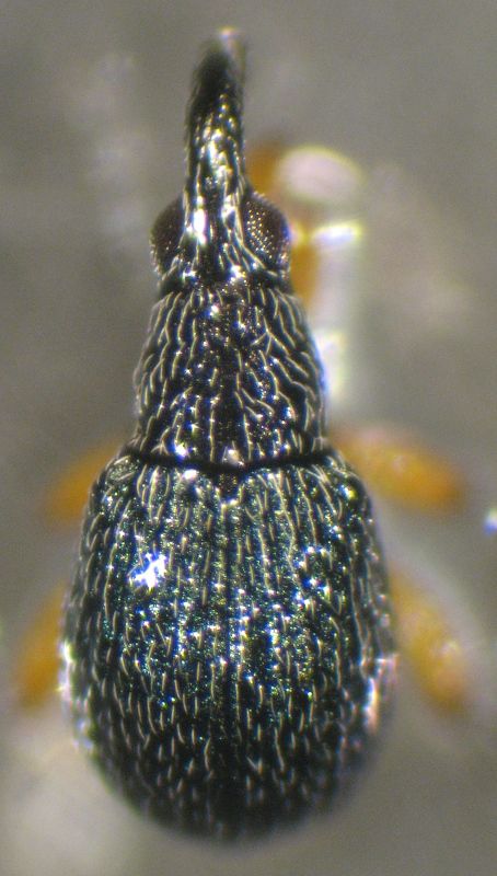 Copia di IMG_0001.JPG