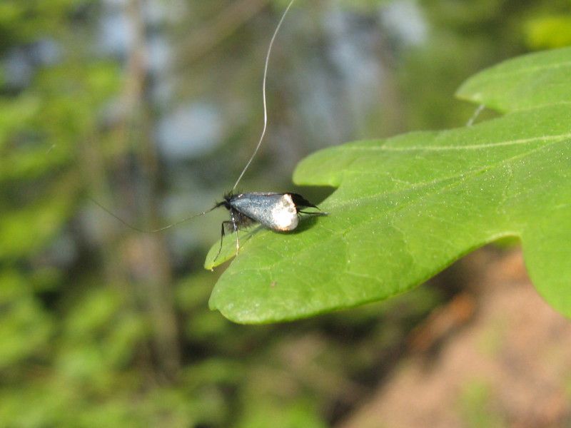 U-0310 - F030.75 - Di nuovo il Liscione - 09 MAG 2008 097.jpg