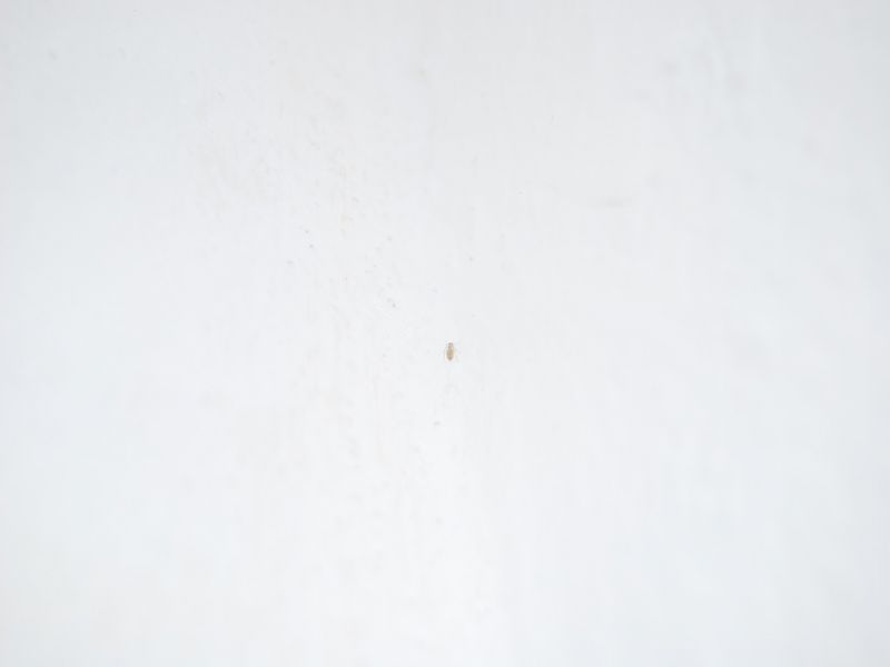 DSC_0328.JPG
