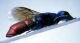 DSCF2177.JPG